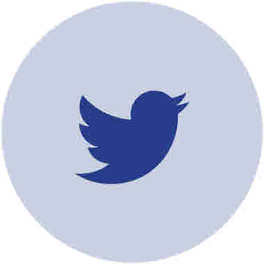 Twitter, ikon. Blå mot blå bakgrund.